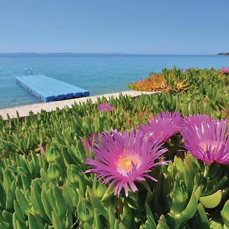 Апартаменты Stunning In With Wifi